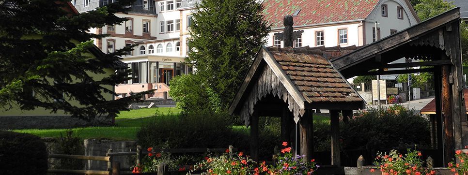 Le Grand Hotel Du Hohwald By Popinns מראה חיצוני תמונה