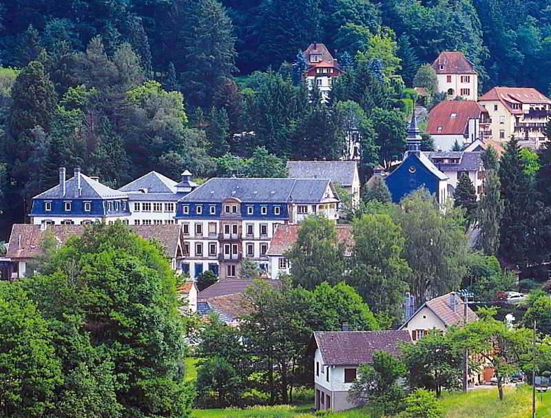 Le Grand Hotel Du Hohwald By Popinns מראה חיצוני תמונה